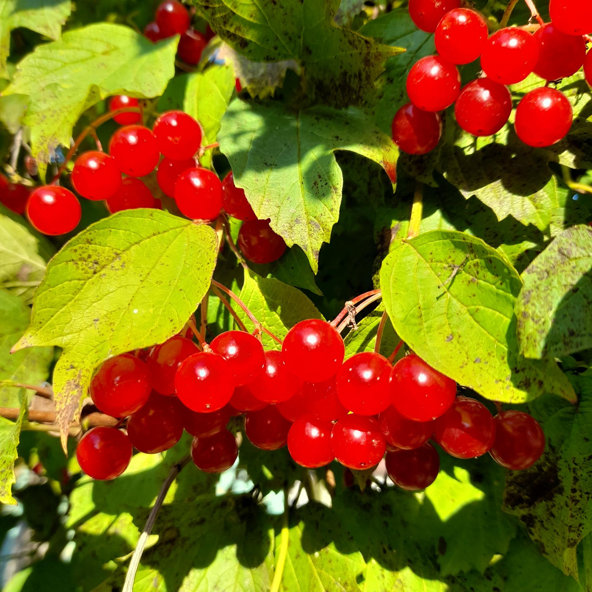 Изображение Волшебный сентябрь🌟🌞 в соцсети TenChat